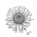 chrysanthemum with daisy tattoo design idea