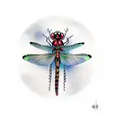 Dragonfly tattoo design idea
