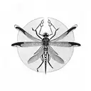 Dragonfly tattoo design idea