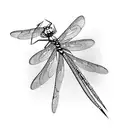 Dragonfly tattoo design idea