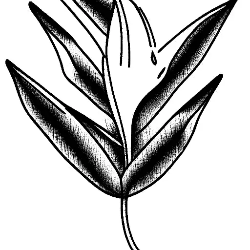Bird of Paradise tattoo design idea