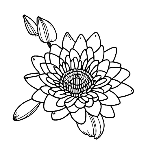 Daisy, lily of the valley, water lily tattoo design idea