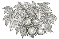 Marley with Roman numerals 7/9/2024 & a lemon tree tattoo design idea