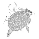 cat fighting a turtle tattoo design idea