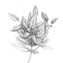 Basil Plant tattoo design idea