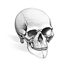 single skull, high resolution, 4k,  "Death or Sovngarde" written on paper strip, paper strip around skull. tattoo design idea