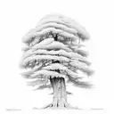 cedar tree tattoo design idea