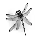 Dragonfly tattoo design idea