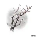 Cherry blossom samurai  tattoo design idea
