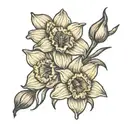 Daffodil gladiolus narcissus flower fine print tattoo  tattoo design idea