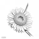 A sword intertwined with a blooming chrysanthemum, a daisy and a narcissus tattoo design idea