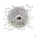 Dandelion tattoo design idea