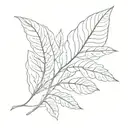 acacia leaf tattoo design idea