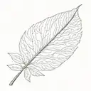 acacia leaf tattoo design idea