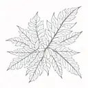 acacia leaf tattoo design idea