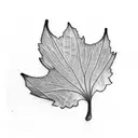 ginkgo tree leaf  tattoo design idea