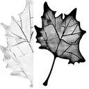ginkgo tree leaf  tattoo design idea