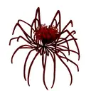 Spider Red Lily  tattoo design idea