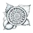  seashell representing the life spiral and cycle. I want to see simple beauty and femininity like the birth of Venus  tattoo design idea
