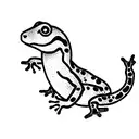 Salamander tattoo design idea
