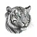 roaring black and white tiger with blue eyes looking out  tattoo design idea