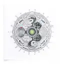 yin yang, buddism, philosophy  tattoo design idea