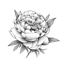 lineart bouquet of a peony and a globe flower with straws and leaves tattoo design idea
