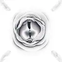 vaginas  tattoo design idea