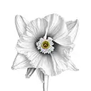 daffodil, little of the valley, poppy, morning glory, Chrysanthemum tattoo design idea