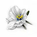 daffodil, little of the valley, poppy, morning glory, Chrysanthemum tattoo design idea