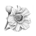 daffodil, little of the valley, poppy, morning glory, Chrysanthemum tattoo design idea