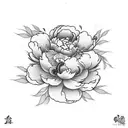 Peony tattoo design idea