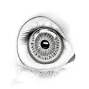ojo de orus tattoo design idea