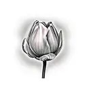 dutch tulip flower with long stem tattoo design idea