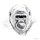 gorilla  tattoo design idea