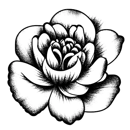 flower boquet including carnation, jonquil and chrysanthemum tattoo design idea