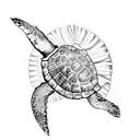 sea turtle in palm tree leaf  tattoo design idea