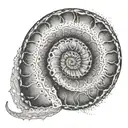 ammonite tattoo design idea
