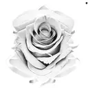 rose avec banderole autour de sa tige avec écrit loyalty dans la banderole tattoo design idea