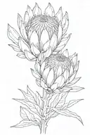 protea flower tattoo design idea