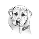 labrador tattoo design idea