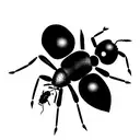 Ant myrmecia  tattoo design idea