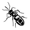 Ant myrmecia  tattoo design idea