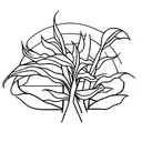 corn stalk tattoo design idea