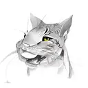 sza tattoo design idea