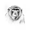 baboon skate tattoo design idea