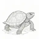 box turtle  tattoo design idea