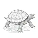 box turtle  tattoo design idea