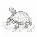 box turtle  tattoo design idea