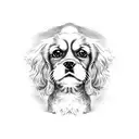 Cute Cavalier king charles dog staring  tattoo design idea